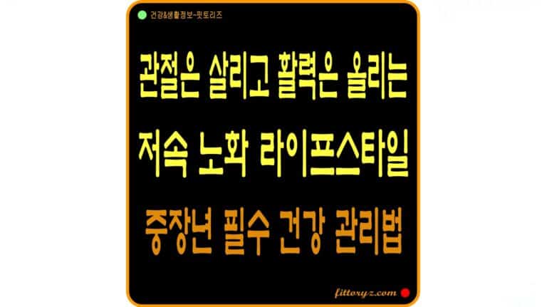 관절은 살리고 활력은 올리는 저속 노화 라이프스타일