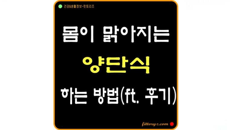 몸이 맑아지는 양단식 하는 방법(후기)