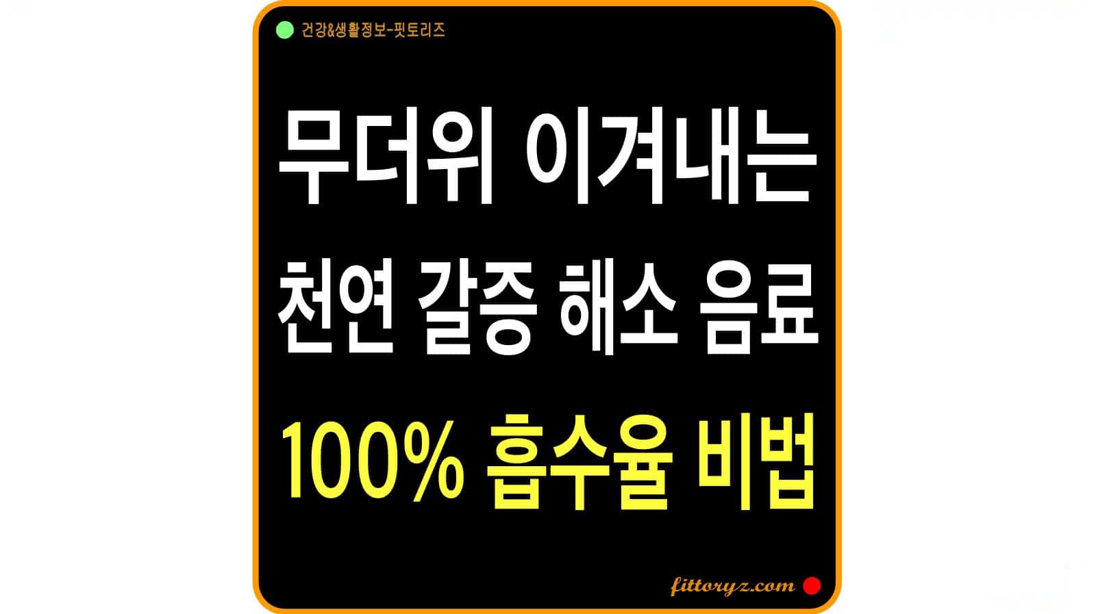 무더위 이겨내는 천연 갈증 해소 음료 100% 흡수율 비법