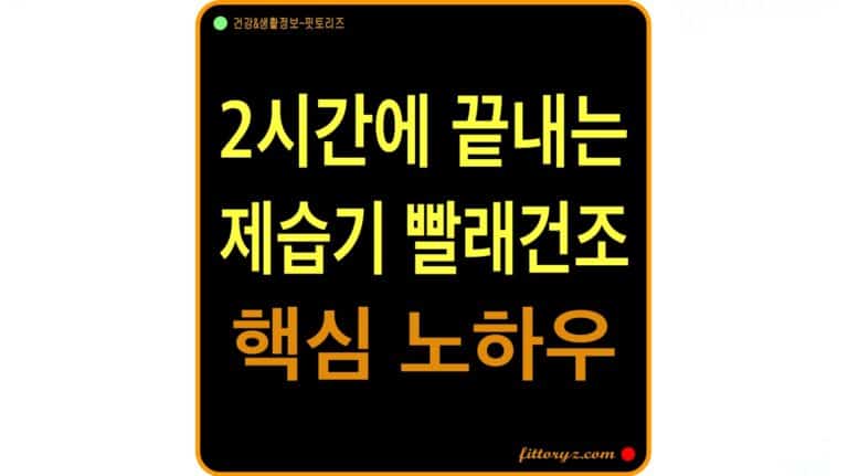 2시간에 끝내는 제습기 빨래건조 핵심 노하우