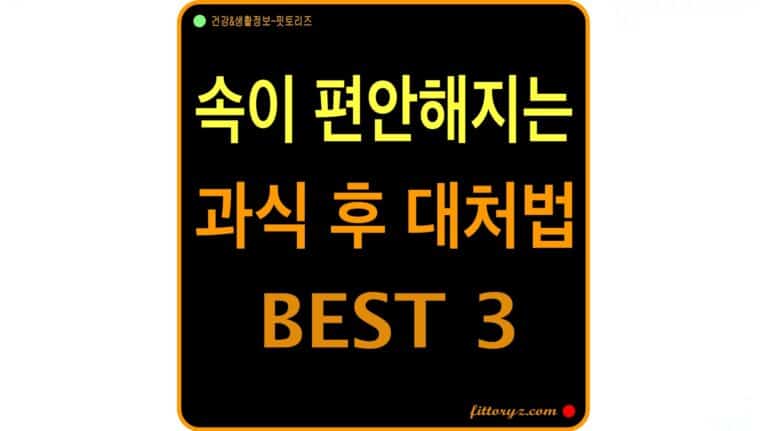 속이 편안해지는 과식 후 대처법 베스트-3