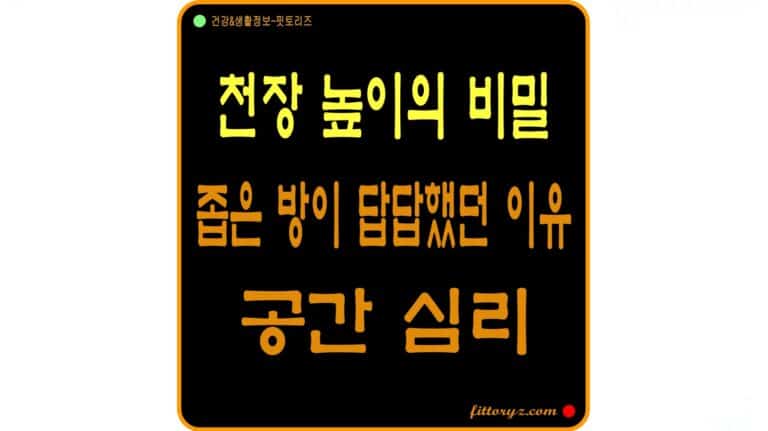 천장 높이와 창의성의 비밀, 공간 심리