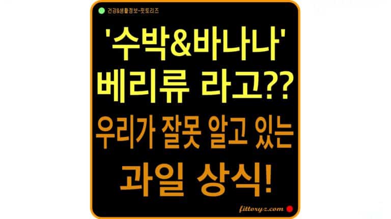 수박과 바나나가 베리류라고? 우리가 잘못알고 있는 과일 상식