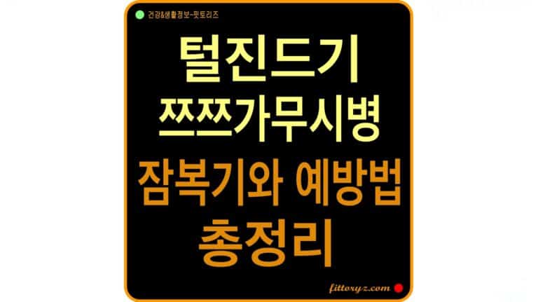 털진드기 쯔쯔가무시병 잠복기와 예방법 총정리
