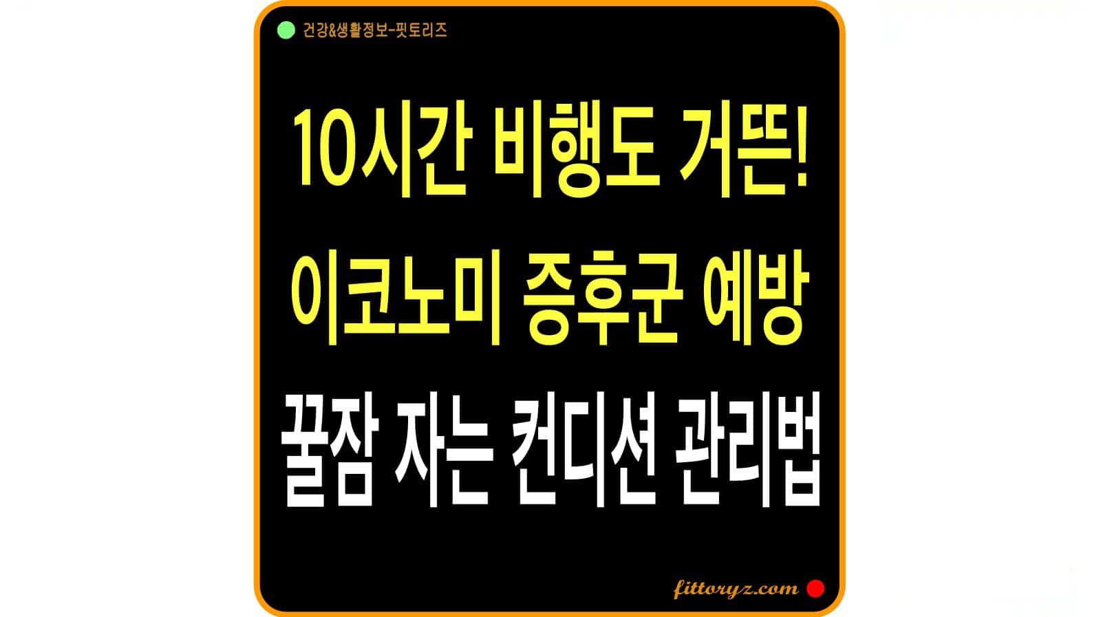 10시간 여행도 거뜬한 이코노미 증후군 예방법