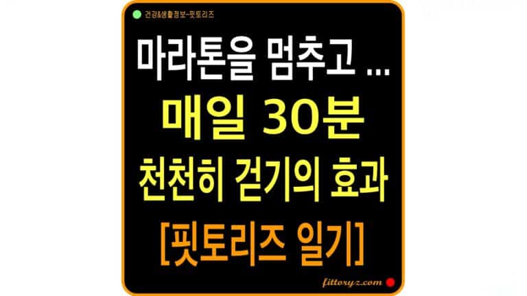 매일 30분 천천히 걷기의 효과