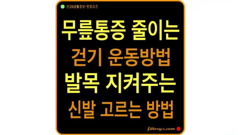 무릎에 무리 안 가는 평상시 걷기 운동 방법